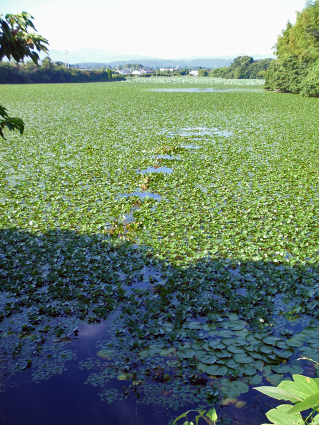 P8151563.JPG