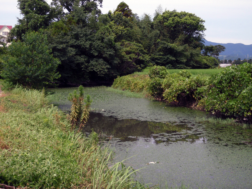 P8241571.JPG