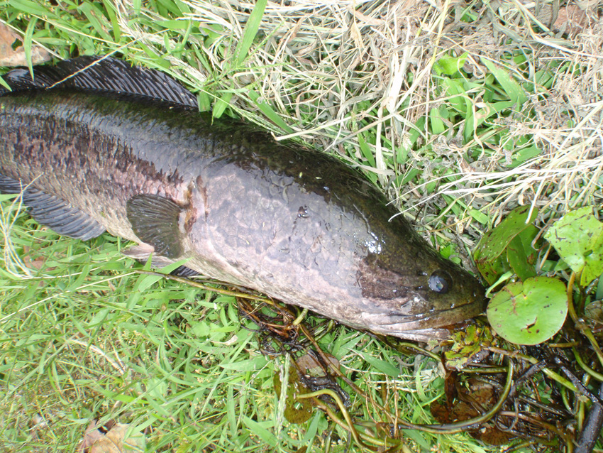 PA061648.JPG