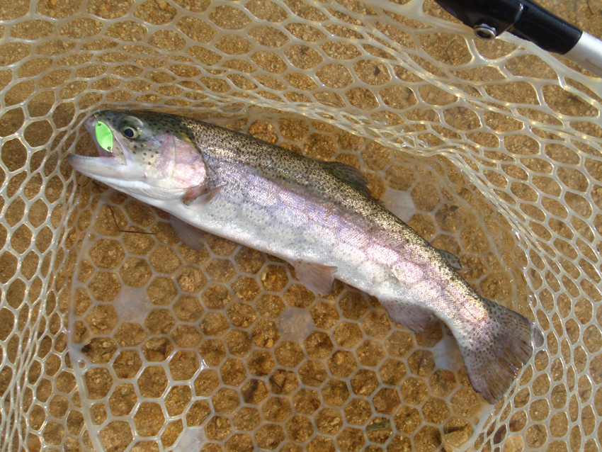 PA131659.JPG