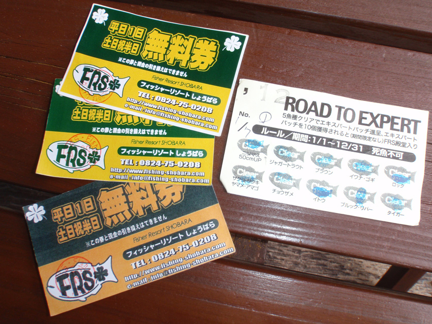 PA131665.JPG