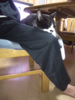 101005_200118.jpg