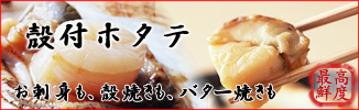 ホタテ殻付326