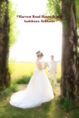 旭川 結婚式場.jpg