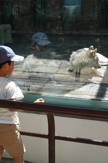 �������ߤȤ����ޤ��ɤ�