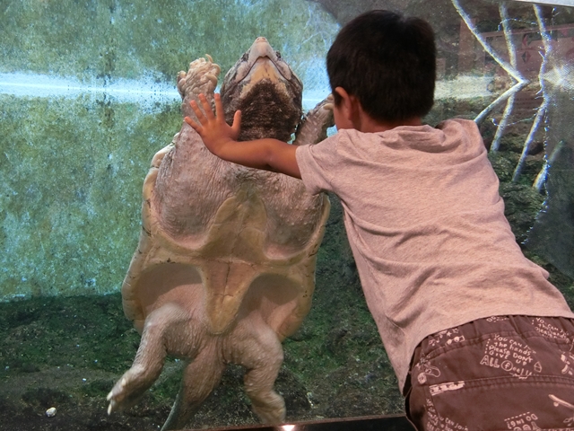 ŷ��������Τ����ޤ��ɤ�