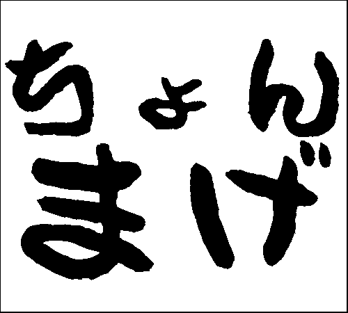 2007年12月9日のすぎやん