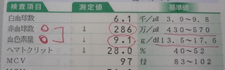 赤血球の結果