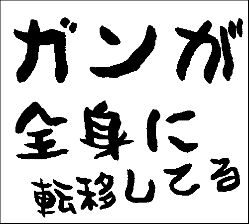 2008年12月23日のすぎやん