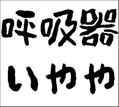 2009年1月4日のすぎやん