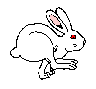 兎の足のお守りを持っていると幸せになれる あとんを探す