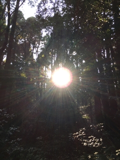 iPhoneImage.png