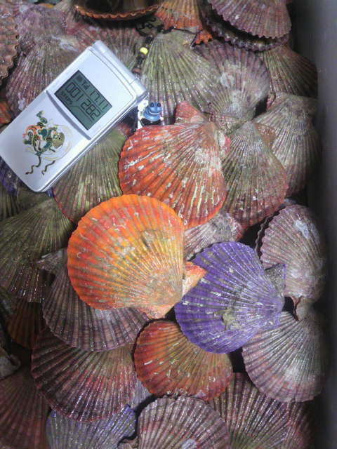 2011110417100000.jpg