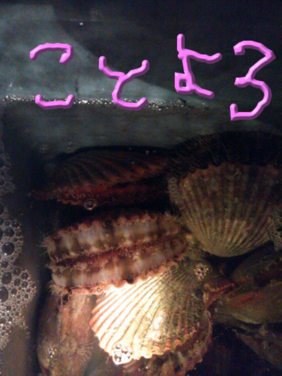 20121231_215146.jpg