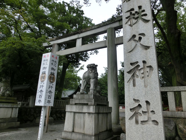 CIMG6977.JPG