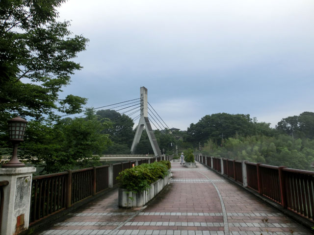 CIMG7059.JPG