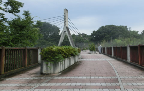 CIMG7061_1.jpg