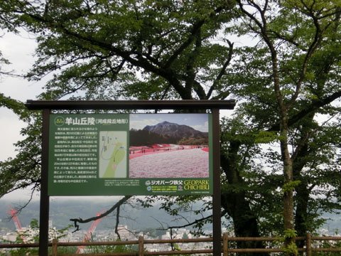 CIMG7084.JPG