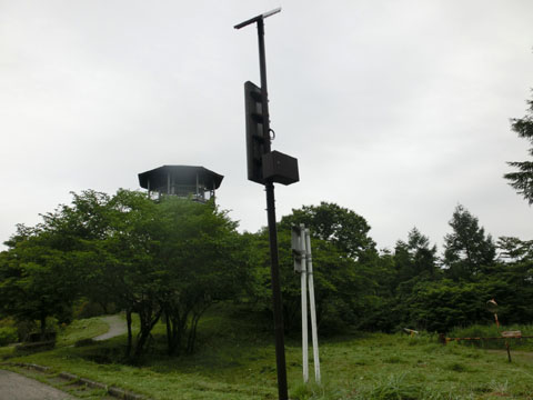 CIMG7115.JPG