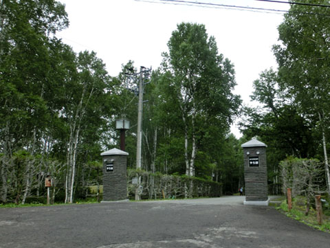 CIMG7131.JPG