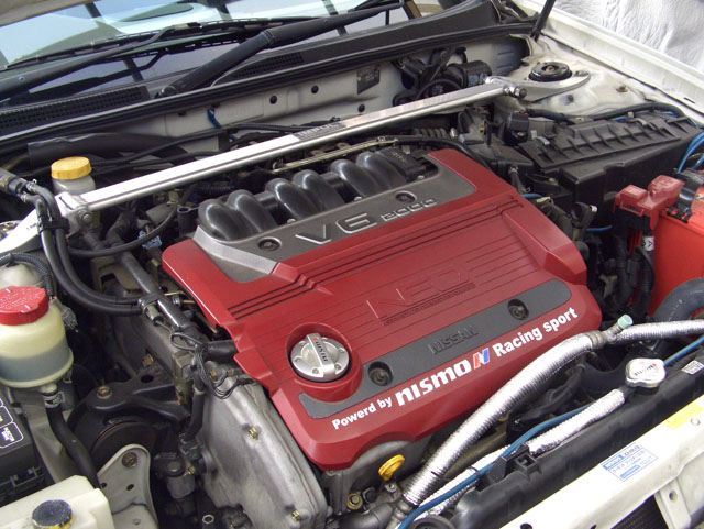 p6.jpg