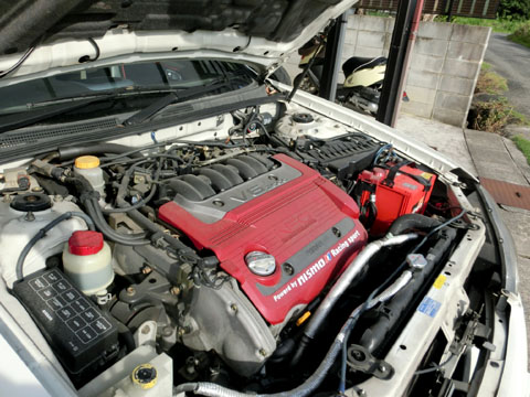CIMG7325.JPG