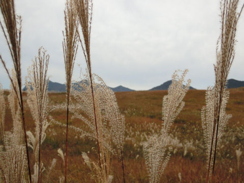 CIMG8901.JPG