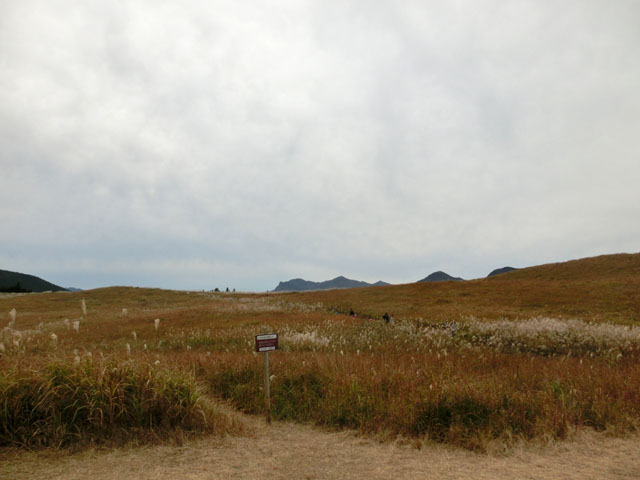 CIMG8903.jpg