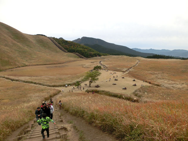 CIMG8908.JPG