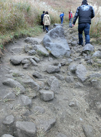 CIMG8915.JPG