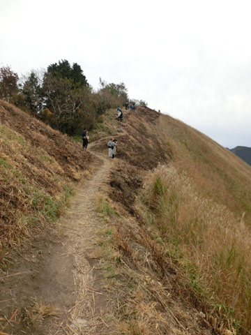 CIMG8925.JPG