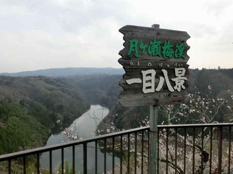CIMG7283.JPG