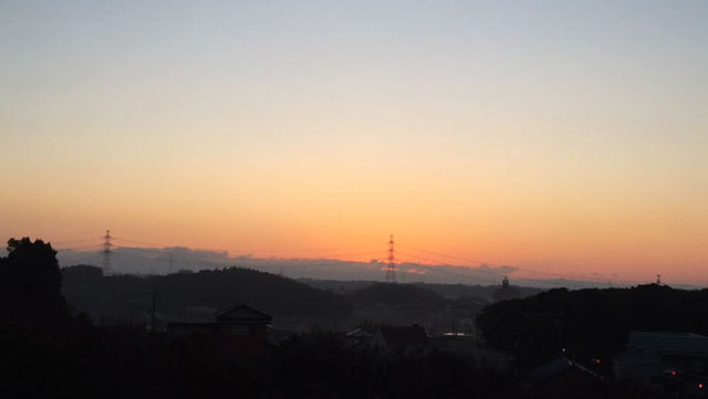 image1.jpg