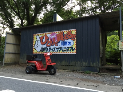 ばし Amazon | ジータレーシング(ZETA RACING) HAYABUSA, V