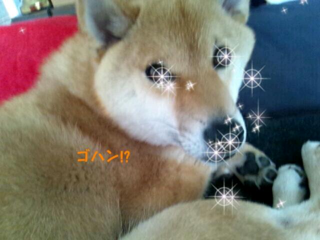 20120522_142955.jpg