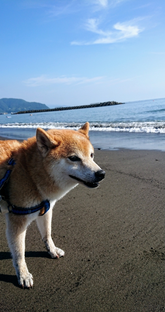 DSC_0714~2.JPG