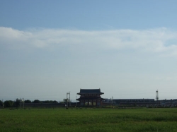野原
