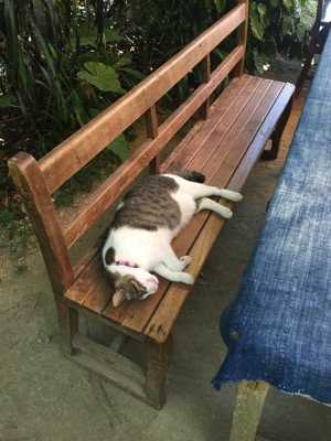 image.jpeg