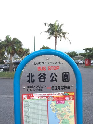 image.jpeg