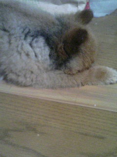 20060809_81330.JPG