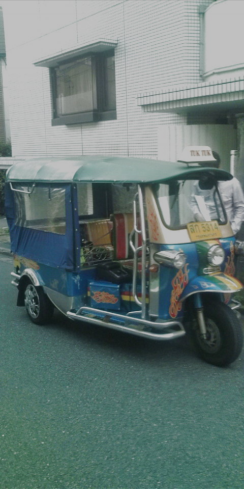 tukutuku1