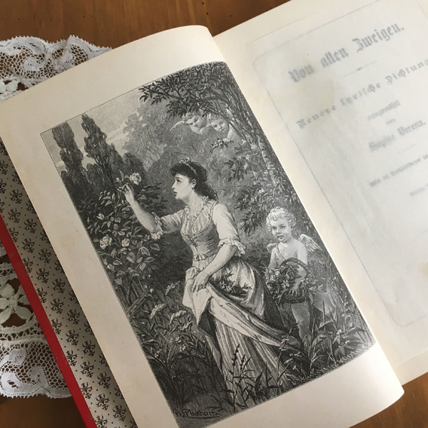スミレの美しい表紙の古書 | フランス雑貨&アンティーク、ハンドメイド