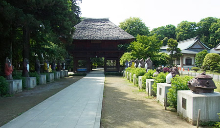 茂林寺たぬき