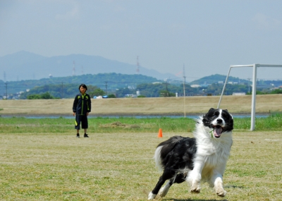 レム