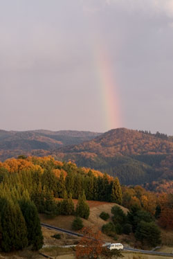 紅葉と虹の橋