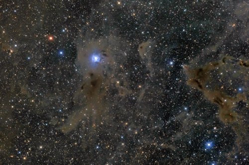 アイリス星雲と分子雲