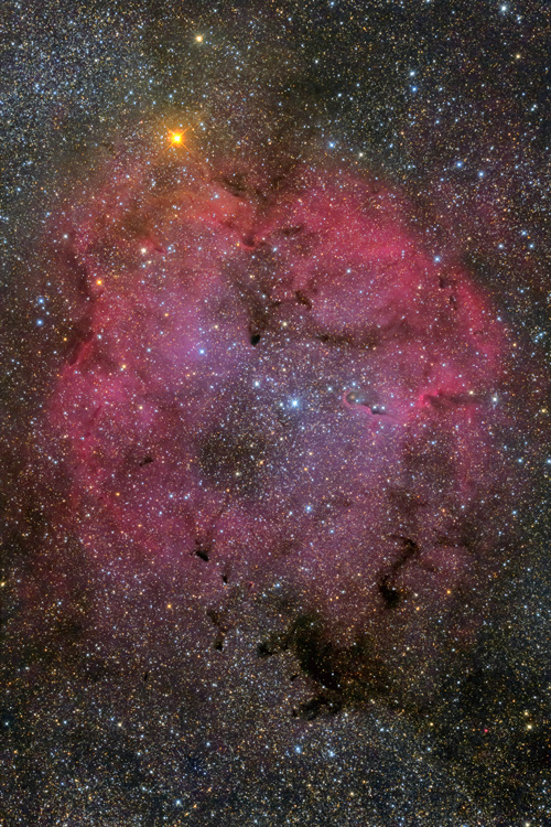 IC1396