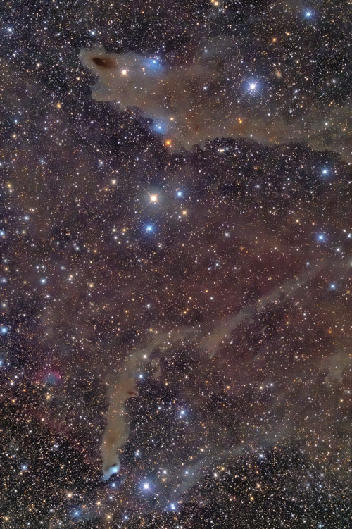シャーク星雲
