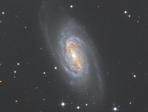 しし座のNGC2903銀河 | 星空日誌 | 天体写真の世界 しし座のNGC2903銀河 | 星空日誌 | 天体写真の世界