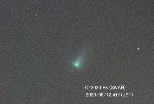 スワン彗星 2020